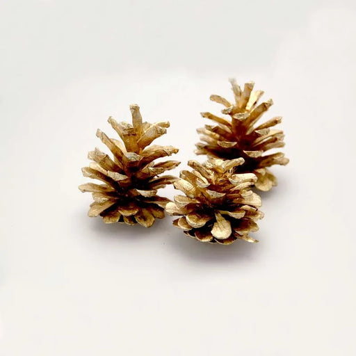 1kg Bag of Assorted Size Austriaca Gold Pine Cones