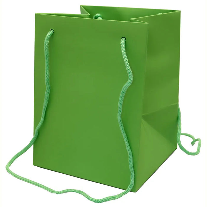 Flower Bag With Rope Handle x 10 - Lime