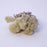 Reindeer Moss Natural in Presentation Box - 100g