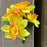 5 Head Yellow Daffodil Flower Bush x 32cm