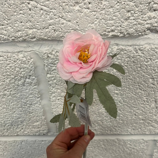 Single Stem Ranunculus Pick x 26cm - Pink