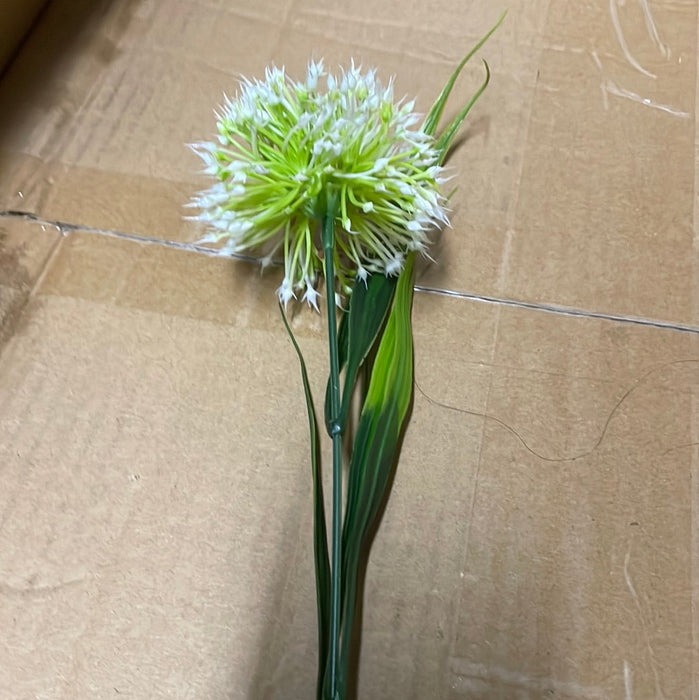 Single Stem Allium - White .