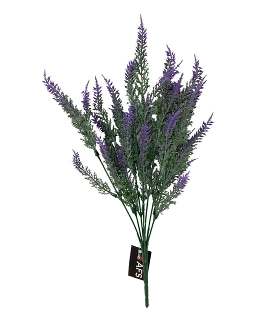 Wild Lavender Bush x 36cm