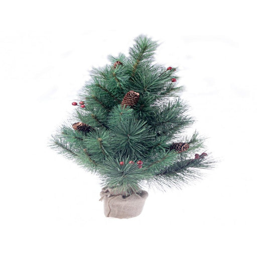 New York Evergreen Spruce Pine Christmas Tree - Height 60cm 43 tips