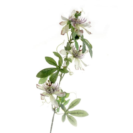 Passion Flower Spray x 75cm - Green/Purple