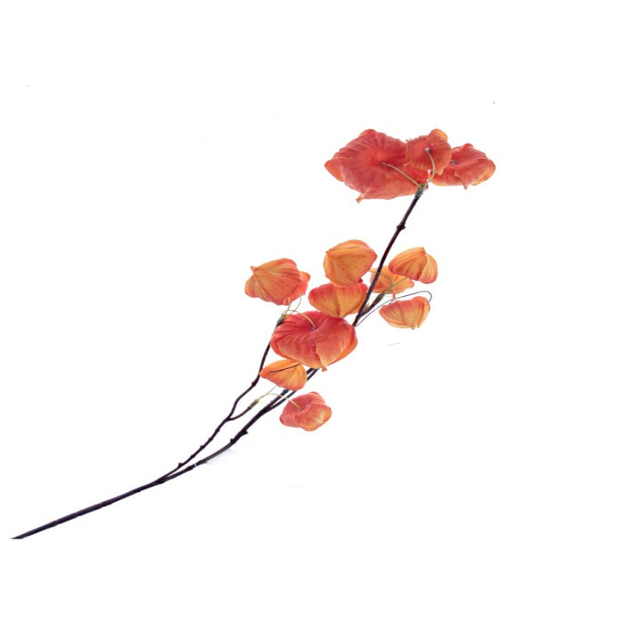 Physalis Stem - Orange - Length 85cm