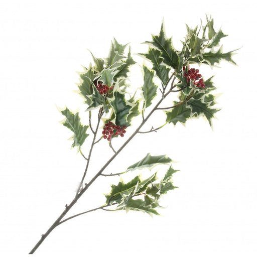 Real Touch Holly Branch x 105cm - Variegated