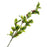 Real Touch Holly Spray - Variegated - 50cm long