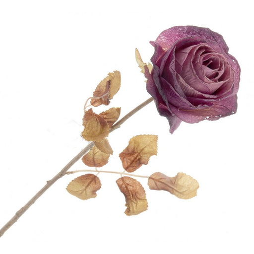 Single Autumn Rose - Purple - 67cm long