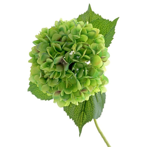 Single Hydrangea Flower Stem - Green - 19cm Diameter, 82cm Length