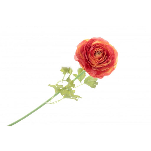 Single Ranunculus - Orange/Red - 60cm long