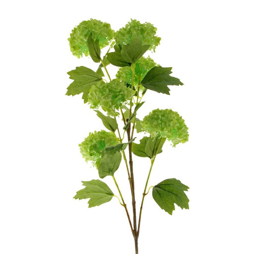 6 Head Snowball Viburnum Spray x 96cm - Green