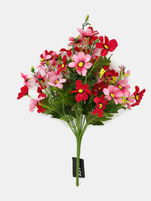 12 Stem Cosmos Daisy Cottage Flower Bush x 36cm - Cerise