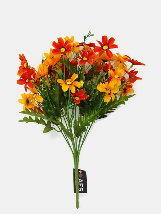 12 Stem Cosmos Daisy Cottage Flower Bush x 36cm - Mixed Orange Shades