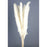 Pluma Decorativa - White - Small Pampas Grass - 50/60cm long, approx. 20pcs per pk
