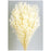 Preserved Broom Blooms x 100g - White