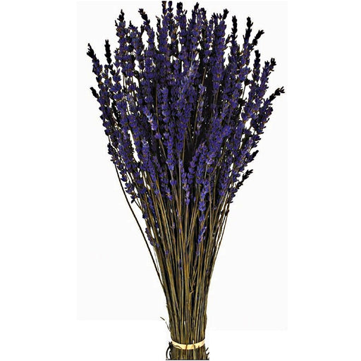 Preserved Lavender Bunch x 50cm - Purple (150g)