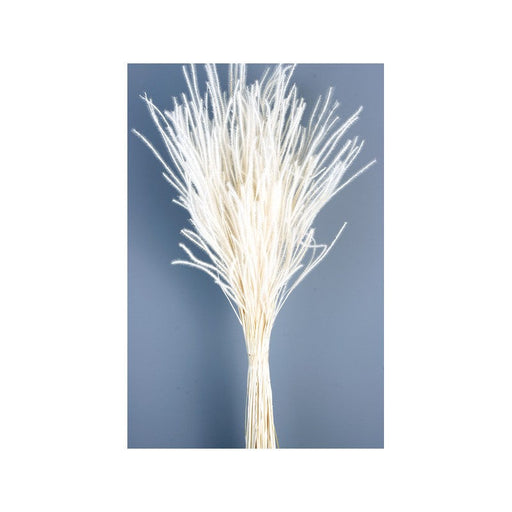 Ouro Grass - White (60cm tall, 50g)