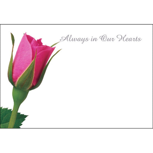 Pack of 50 Florist Cards - Always In Our Hearts