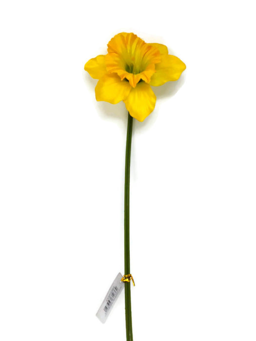 Single Stem Yellow Daffodil x 50cm