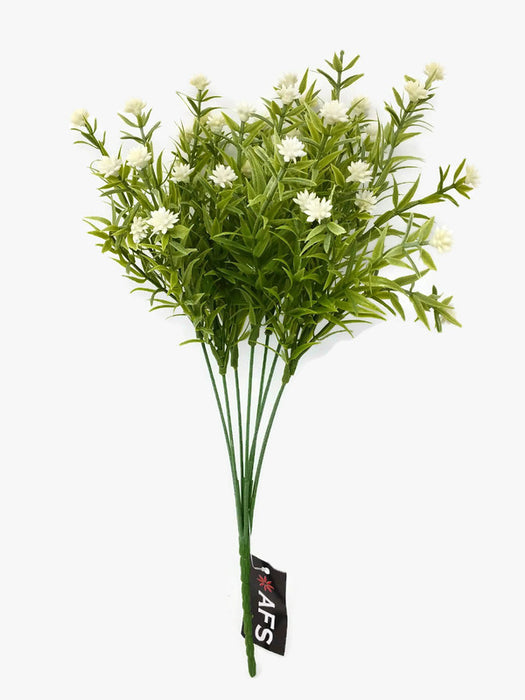 Wild Clover Bush - White