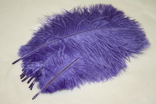 10 ostrich feathers purple 