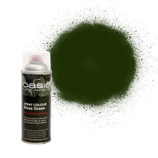 OASIS® Spray Paint Colours - Moss Green  - 400ml