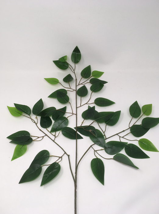 Dark Green Ficus Branch x 62cm