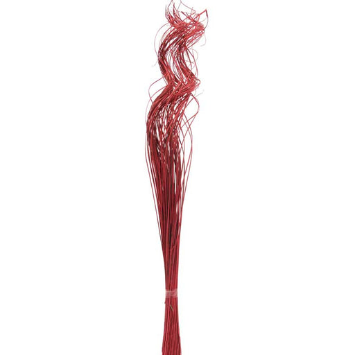 Ting Ting Curly Stems x 76cm - Red