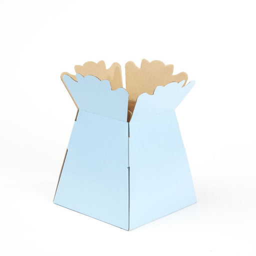 25 Matt Porto  Vase Boxes - Light Blue