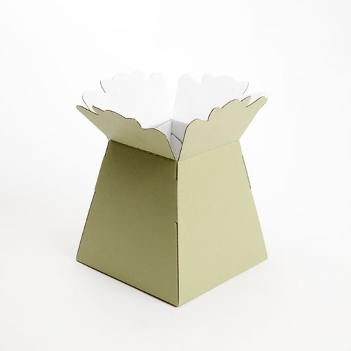25 Matt Porto  Vase Boxes - Sage Green