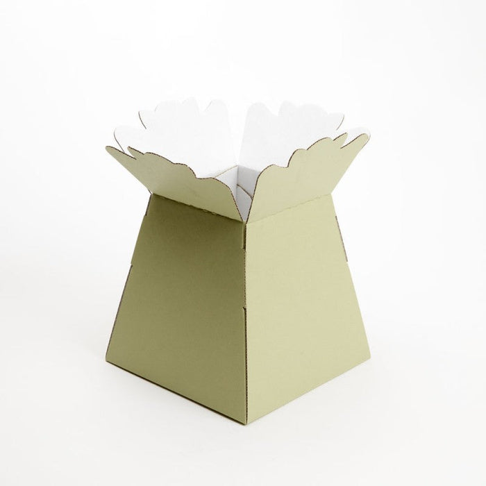 Single  Living Vase Boxes - Sage Green