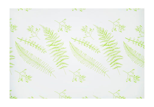 80cm x 50m Frosted Fern Cellophane