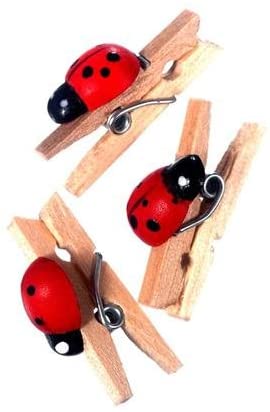 Pack of 20 Red Ladybird Pegs