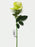 Single Stem Velvet Touch Rose x 50cm - Lime Green