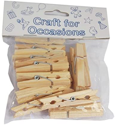Pack of 20 Natural Pegs 2.5cm Length
