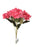 5 Stem Hot Pink Hydrangea Bush x 30cm