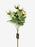 5 Stem Rose & Blossom Spray x 65cm - White/Peach