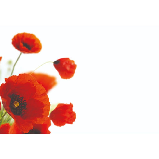 50 Blank Florist Cards - Red Poppies