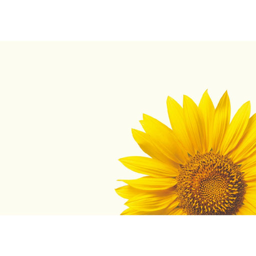 50  Blank Florist Cards - Yellow Sunflower