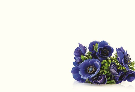 50 Blank Florist Cards - Blue Anemone Posy