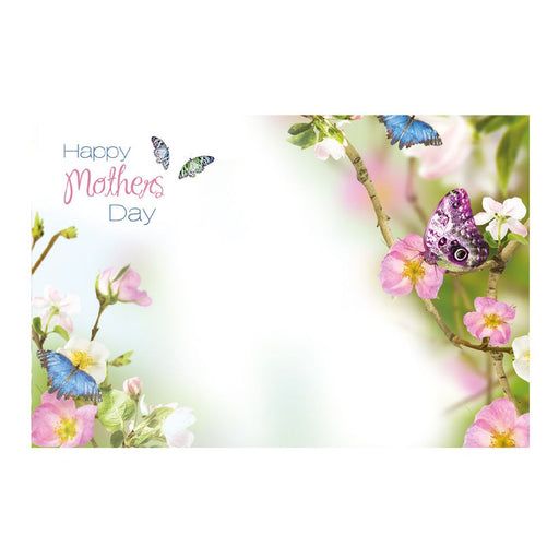 50 Mother's Day Flower Message Cards -  Butterflies