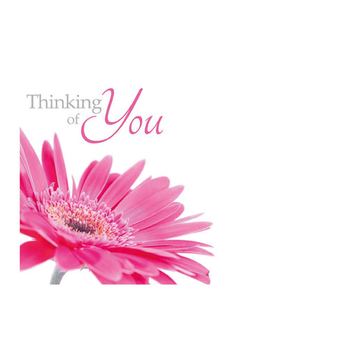 50 Thinking of You   Florist Cards - Pink Gerbera