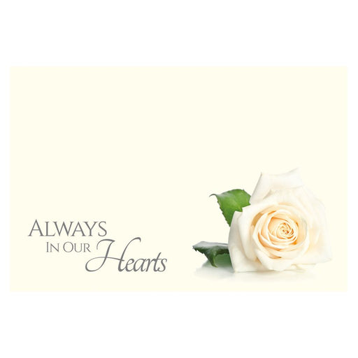 9 Large  Sympathy Message Cards - 12.5 x 9cm - Always in our Hearts, Single White Rose