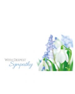 50 Florist Cards With Deepest Sympathy - Muscari Snowdrop 60-00797