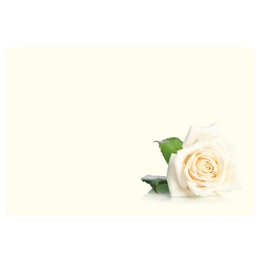 9 Large  Sympathy Message Cards - 12.5 x 9cm - Single White Rose, Cream Background