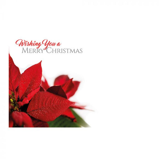 Christmas Florist Message Cards - Poinsettia Merry Christmas x 50