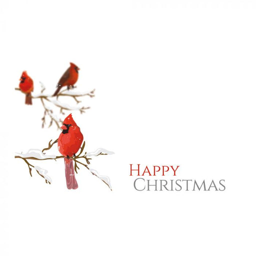 Christmas Florist Message Cards - Happy  Christmas Birds x 50