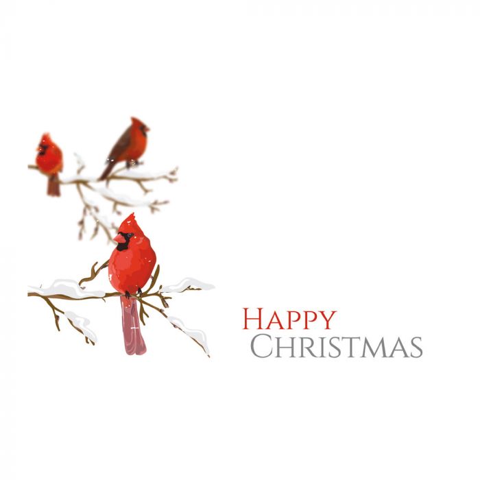 Christmas Florist Message Cards - Happy  Christmas Birds x 50