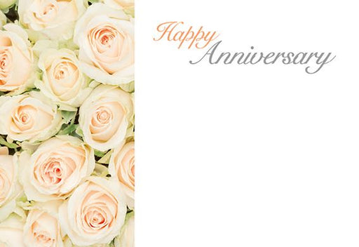 Pack of 50 Florist Cards - Happy Anniversary - Ivory & Green Roses